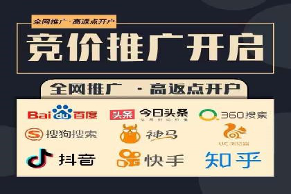 搜索引擎关键词竞价排名的策略调整与案例